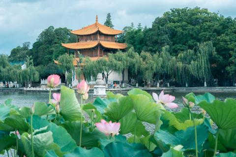 Xingjiacun Lotus Wetlands