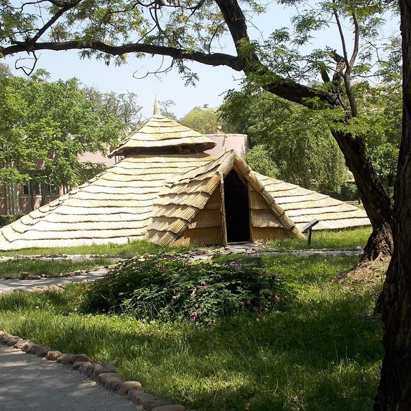 Xinle Prehistoric Cultural Site Mud Hut Quarter