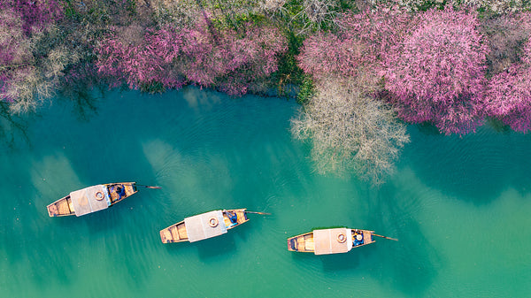 Xixi National Wetland Park