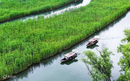 Xixi Wetland Traditional Sculling Boat Loop