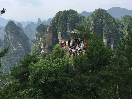 Yangjiajie Bandit Fortress Trail (Wulong Zhai)