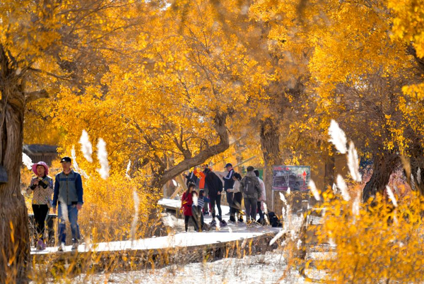 Yarghul Desert Poplar (Sogda) Eco-Forest Track