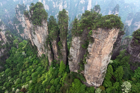 Yuanjiajie Five Fingers Peak Viewpoint
