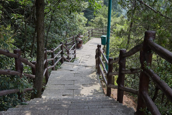 Yuanjiajie Lost Souls Bridge Trail (Miun Tai)