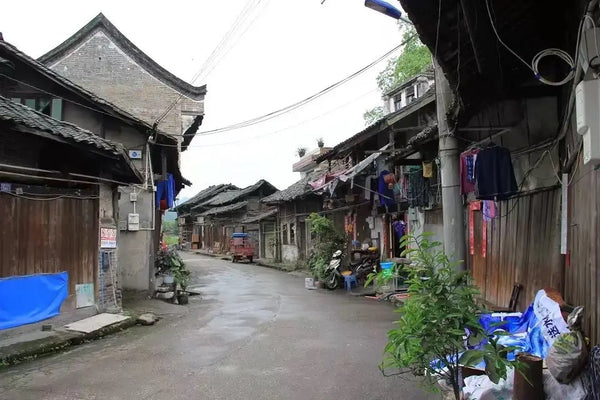 Yuelai Ancient Town
