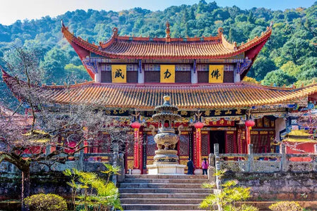 Zixishan Forest Monastery